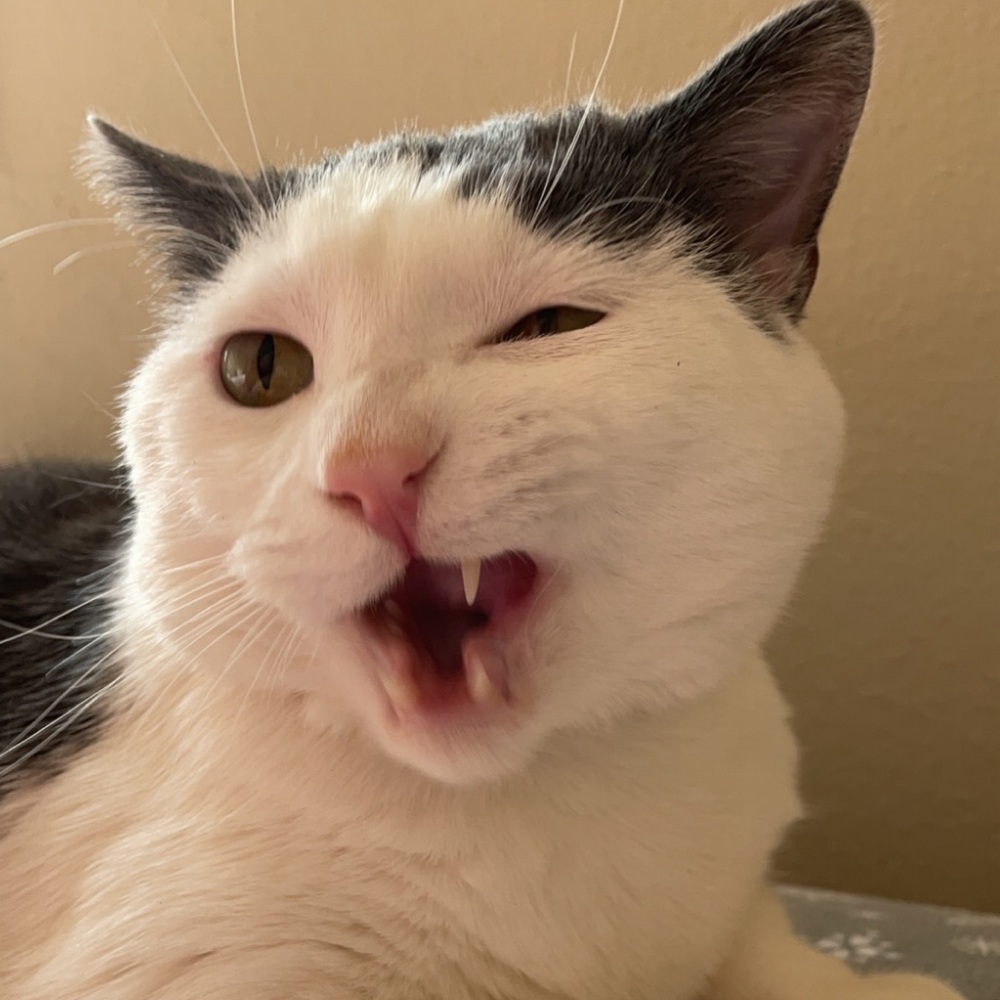 Meet your Posher, April